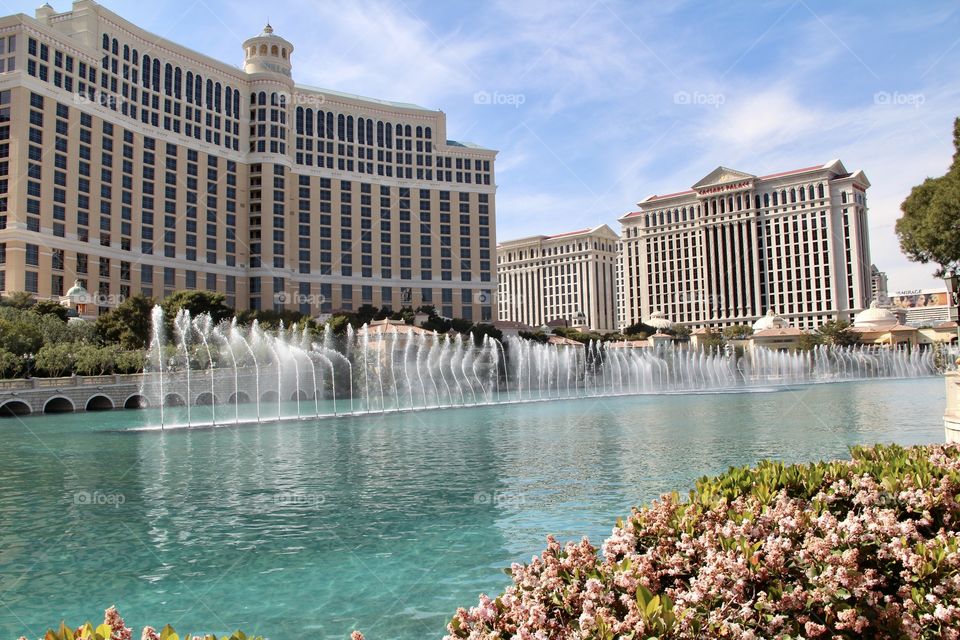 Bellagio Las Vegas Fountain 