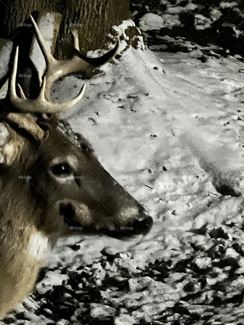Eight Point 