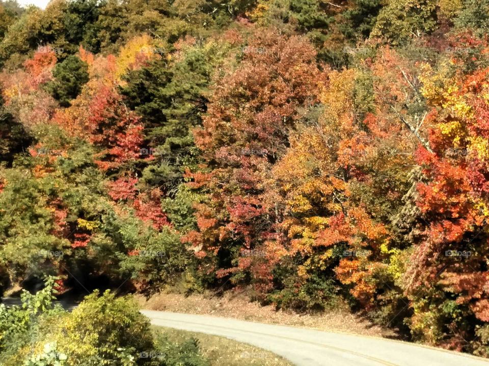 Fall colors in the smokies
