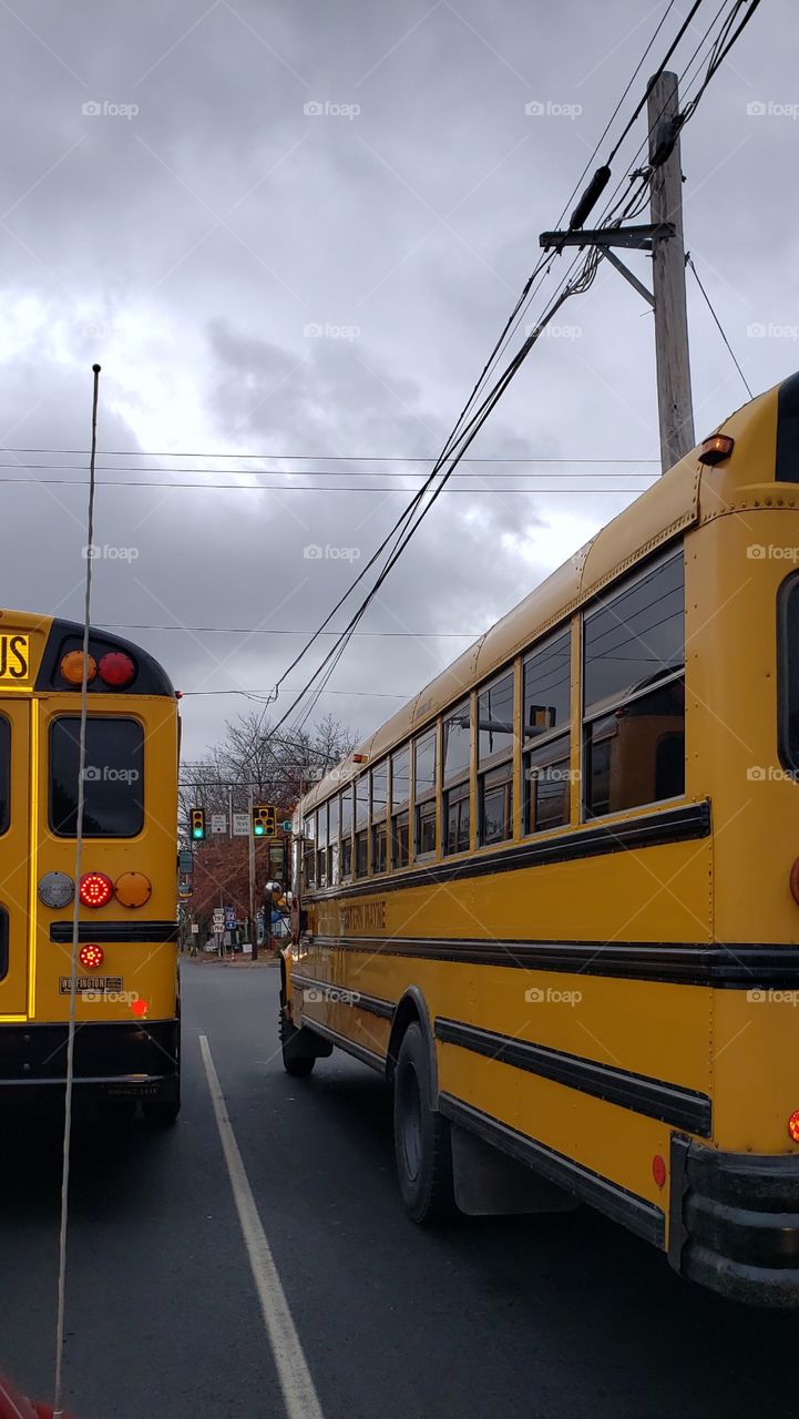 School Bushes in Traffic