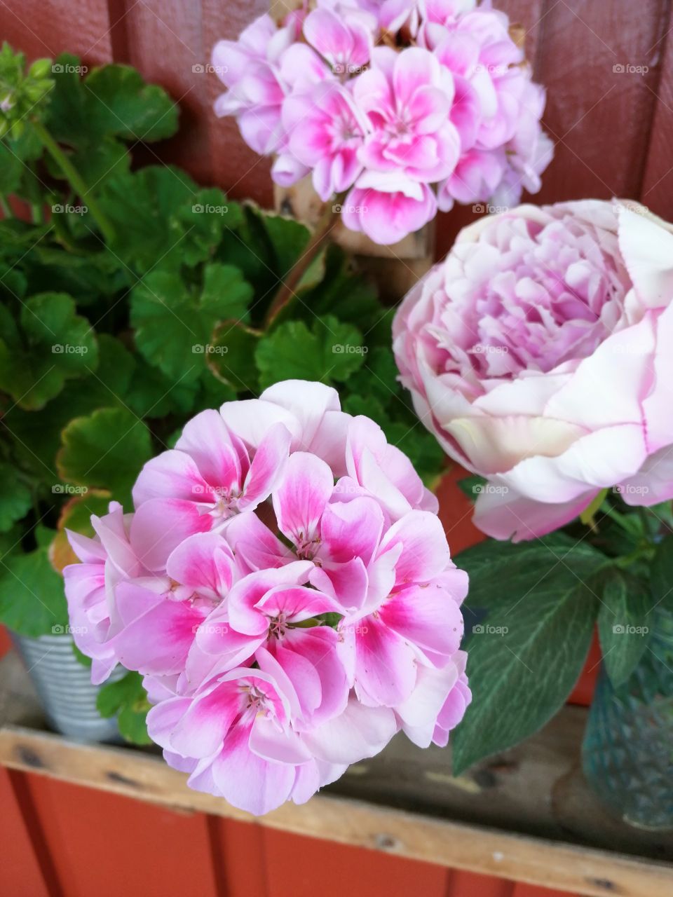 I'm a little pink today 😀❤️