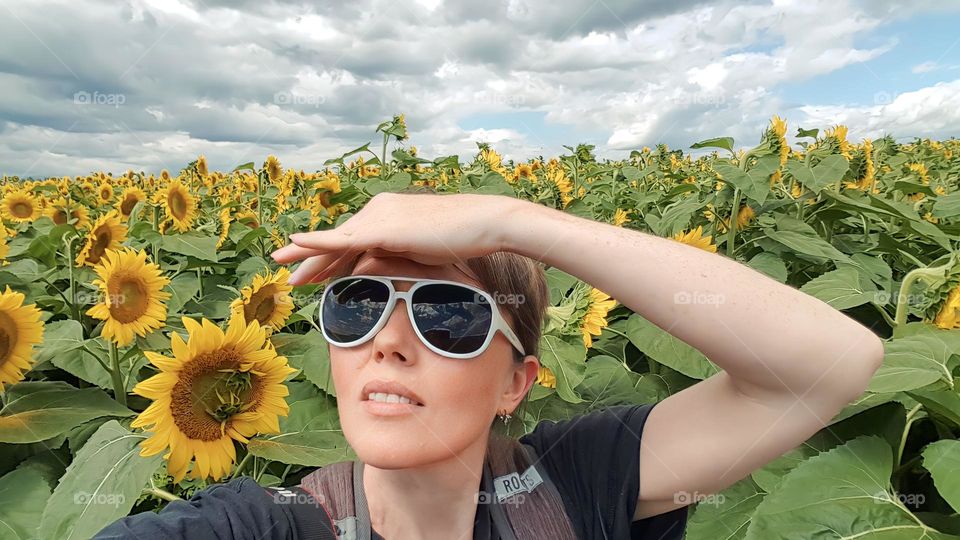 In sunflower field