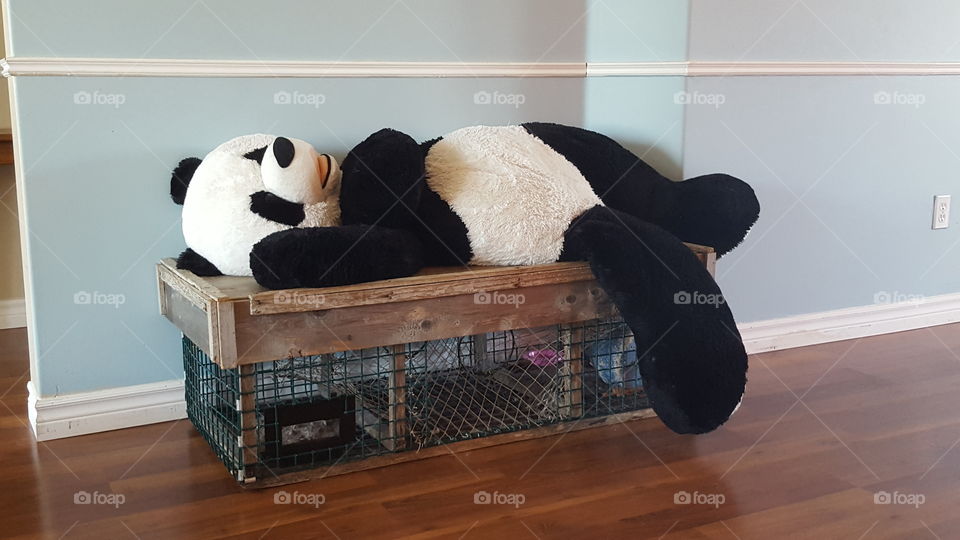 dead panda lobster trap table