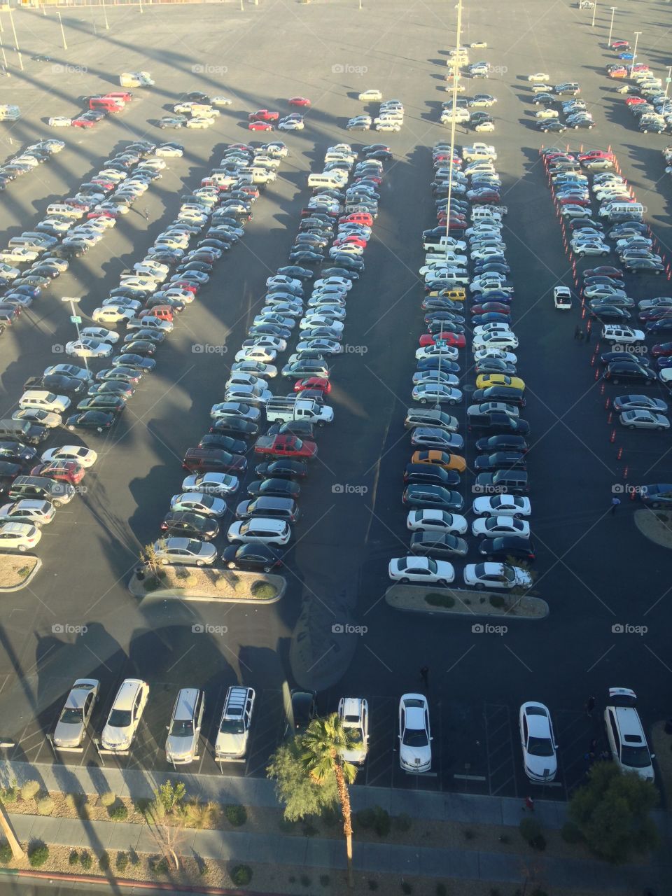 The Lot

Published by:
HappyBrownMonkey 