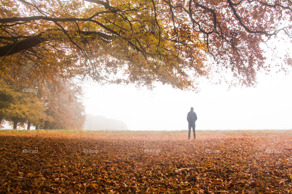 Rear view of man standing on autumn leaves