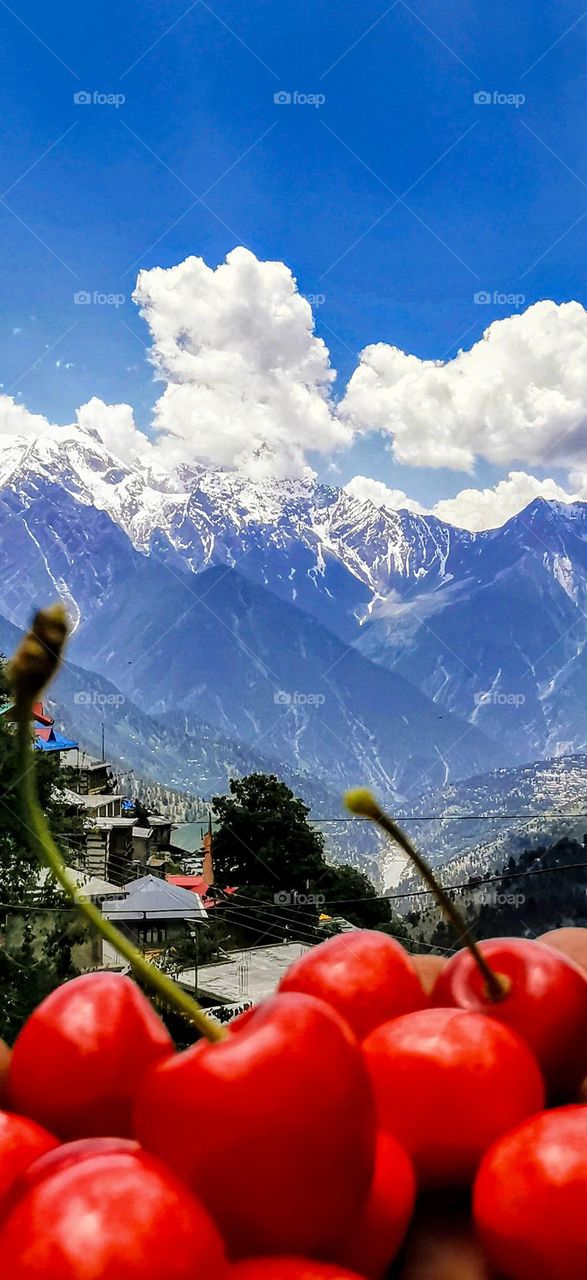 Countryside view summers