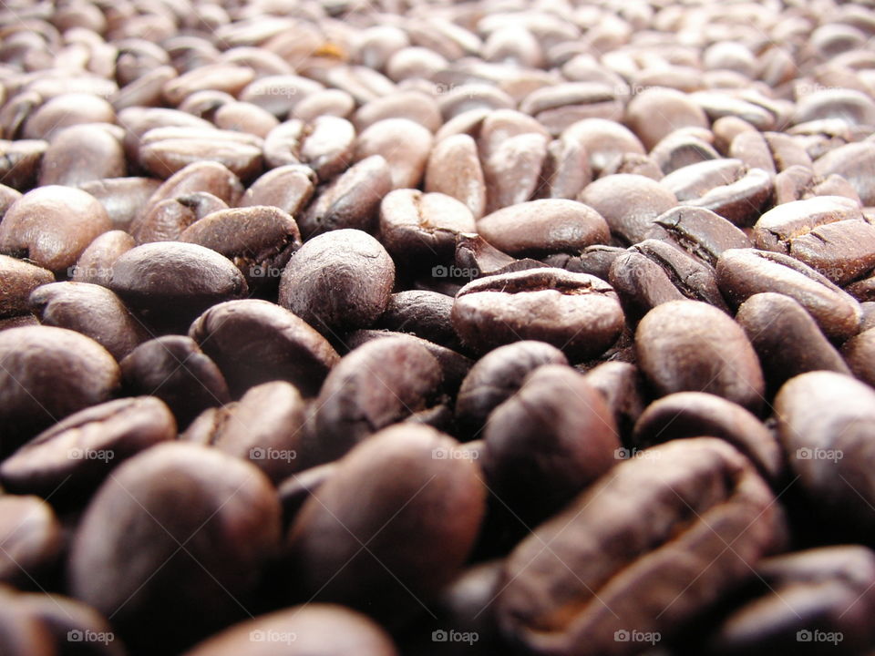 Roasted coffee beans under natural light 