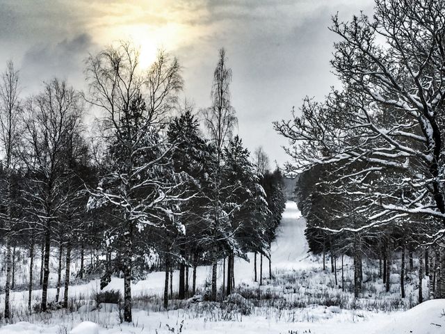 Winter and snow. 