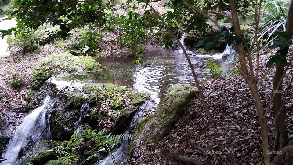 the falls. one of a handful of striking waterfalls at Rainbow Springs State park.
