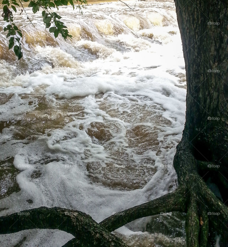 Face in the water...