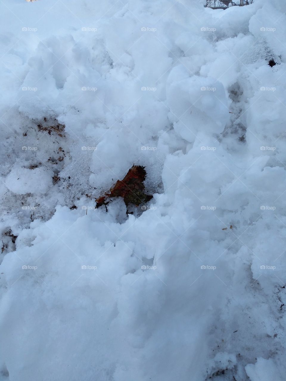 Dirty snow with a part of woow