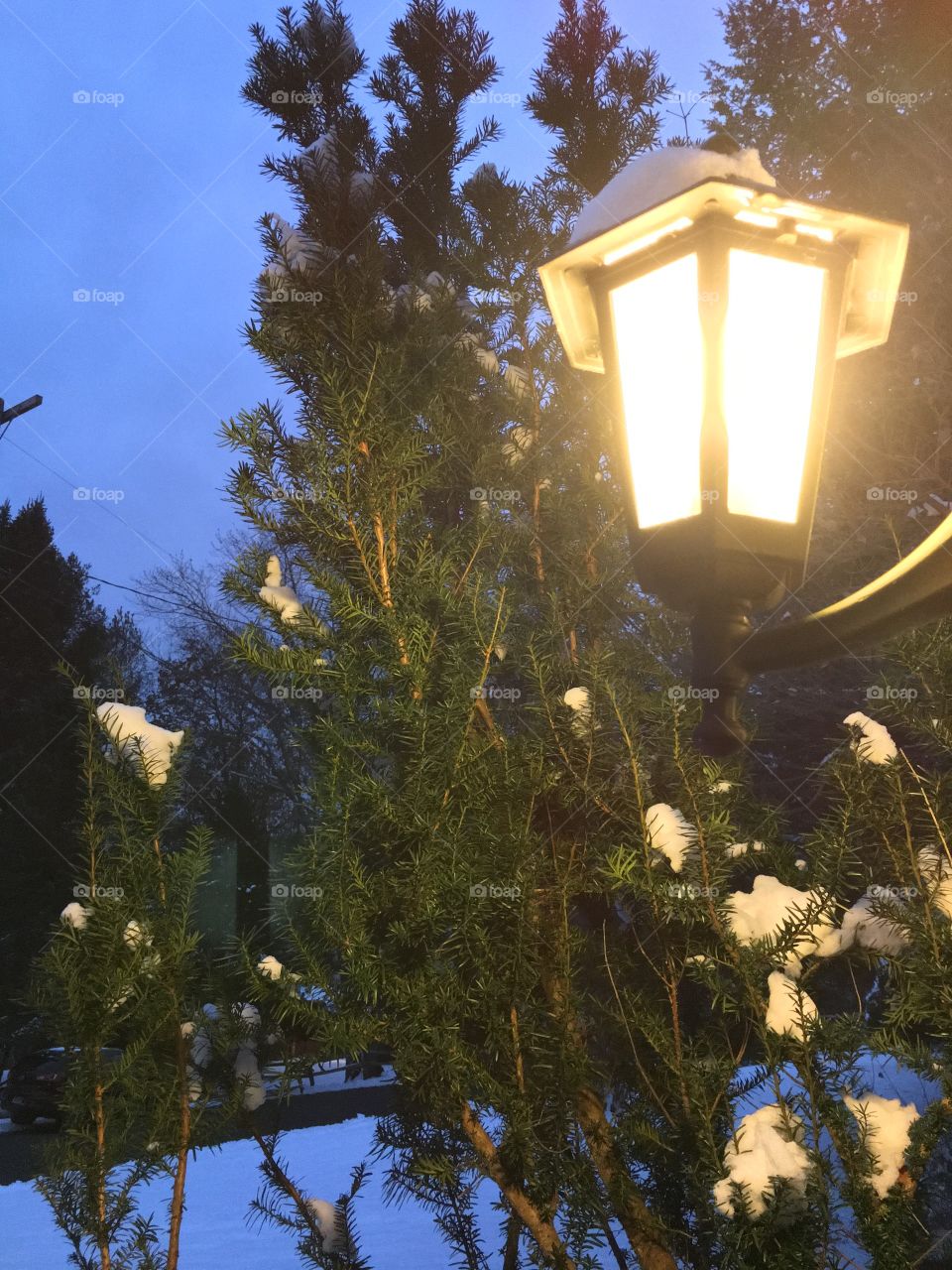 Lantern snow evening 