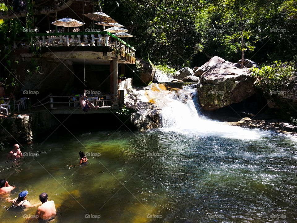 Jungle Swing and Swim