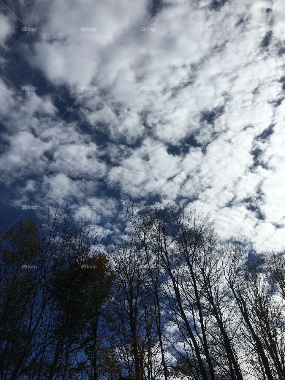 Fall sky