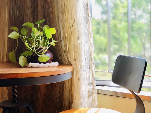 Lonely plant 