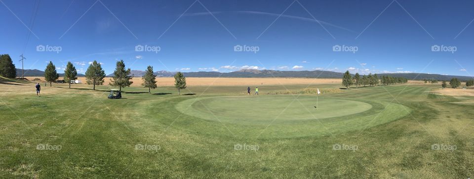 Golf, Landscape, Grass, Golfer, Putt