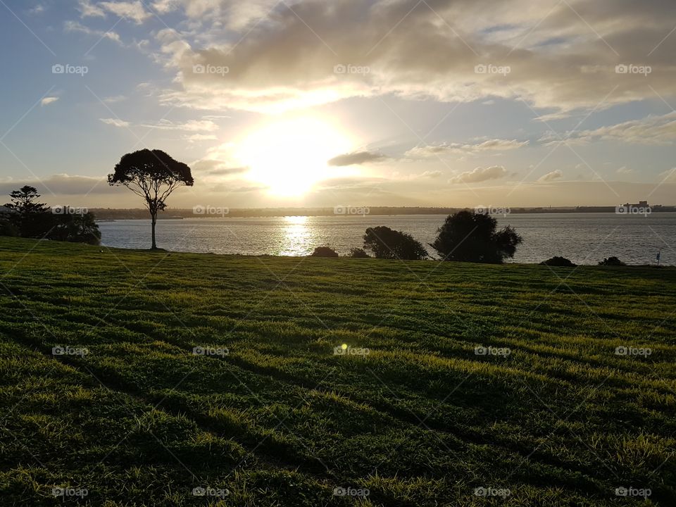 The beautiful view of the sunset from the walking track in the Botanic Gardens in Geelong.