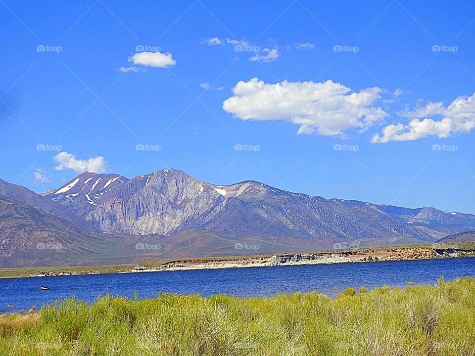 Mammoth