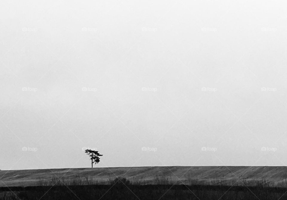 The lonely tree on the hill. Black and white photo. A bleak and empty horizon. Strength even when standing alone. 