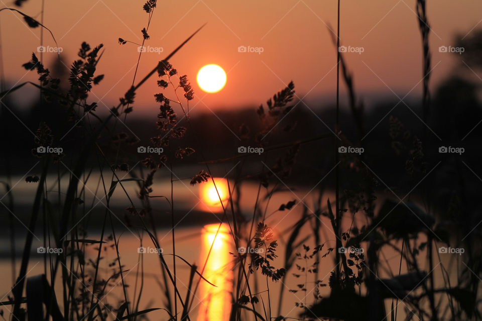 Sunset over the estuary. The mountains, tree line, sun & sky are blurry with the sunlit grass in focus in the foreground. The setting sun is strongly reflected in the falling tidal waters & the sky is orange & pink.  