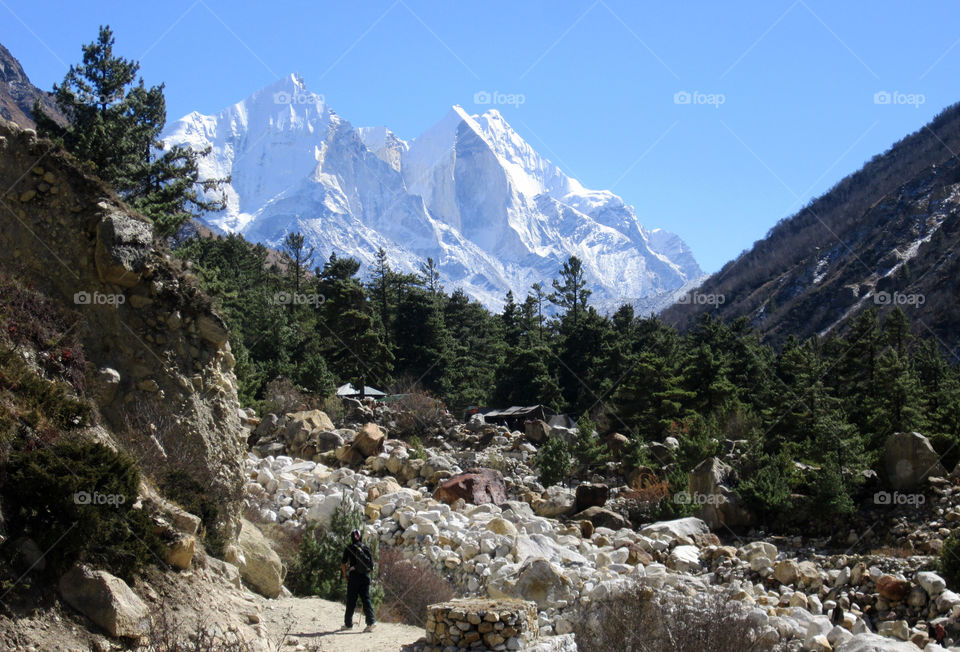 Gangotri National Park