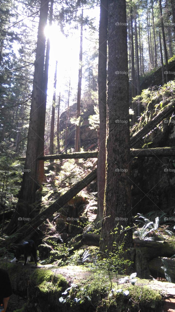 Buntzen Lake hiking trails, BC
