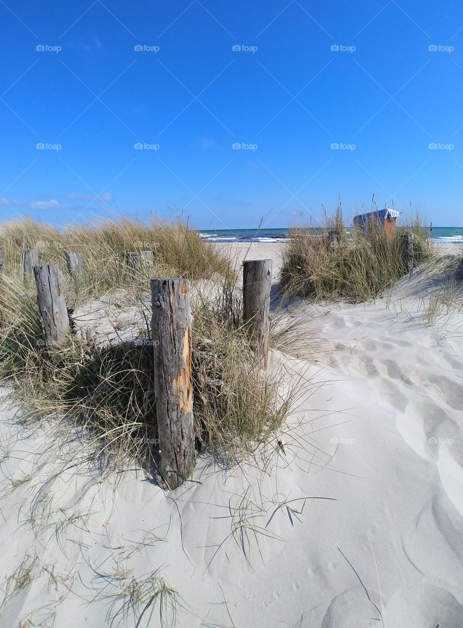 Sand str2 düne gras Wasser Strand Beach