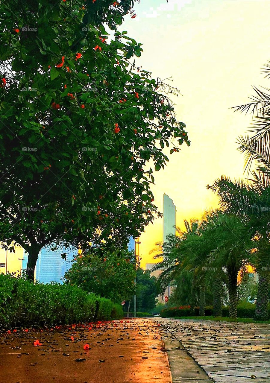 tress make the difference