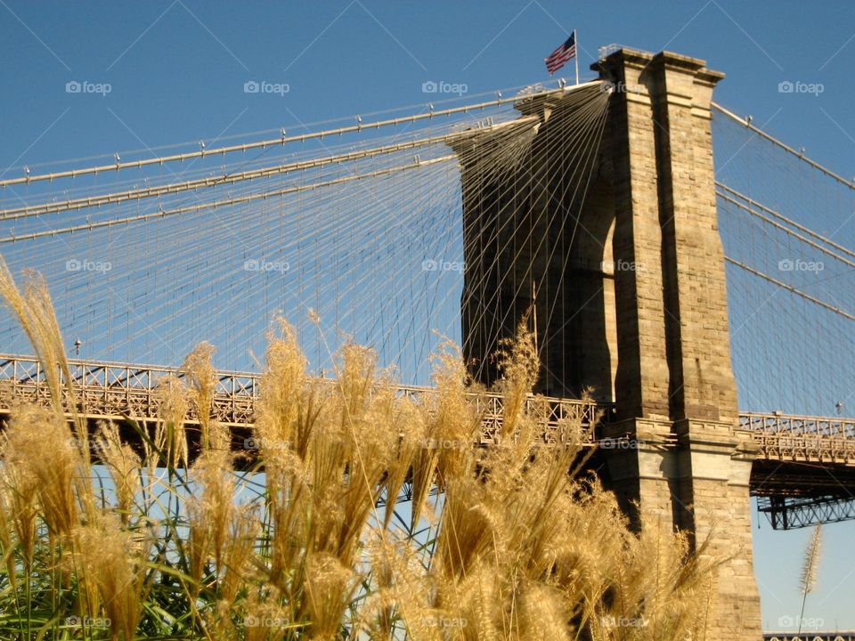 Brooklyn Bridge from Seaport