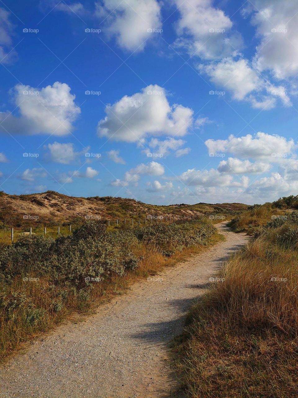 Dunes are the mountains off the Netherlands