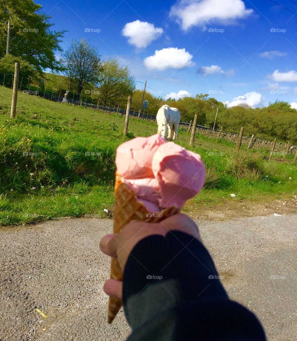 Horse . Eating ice cream 