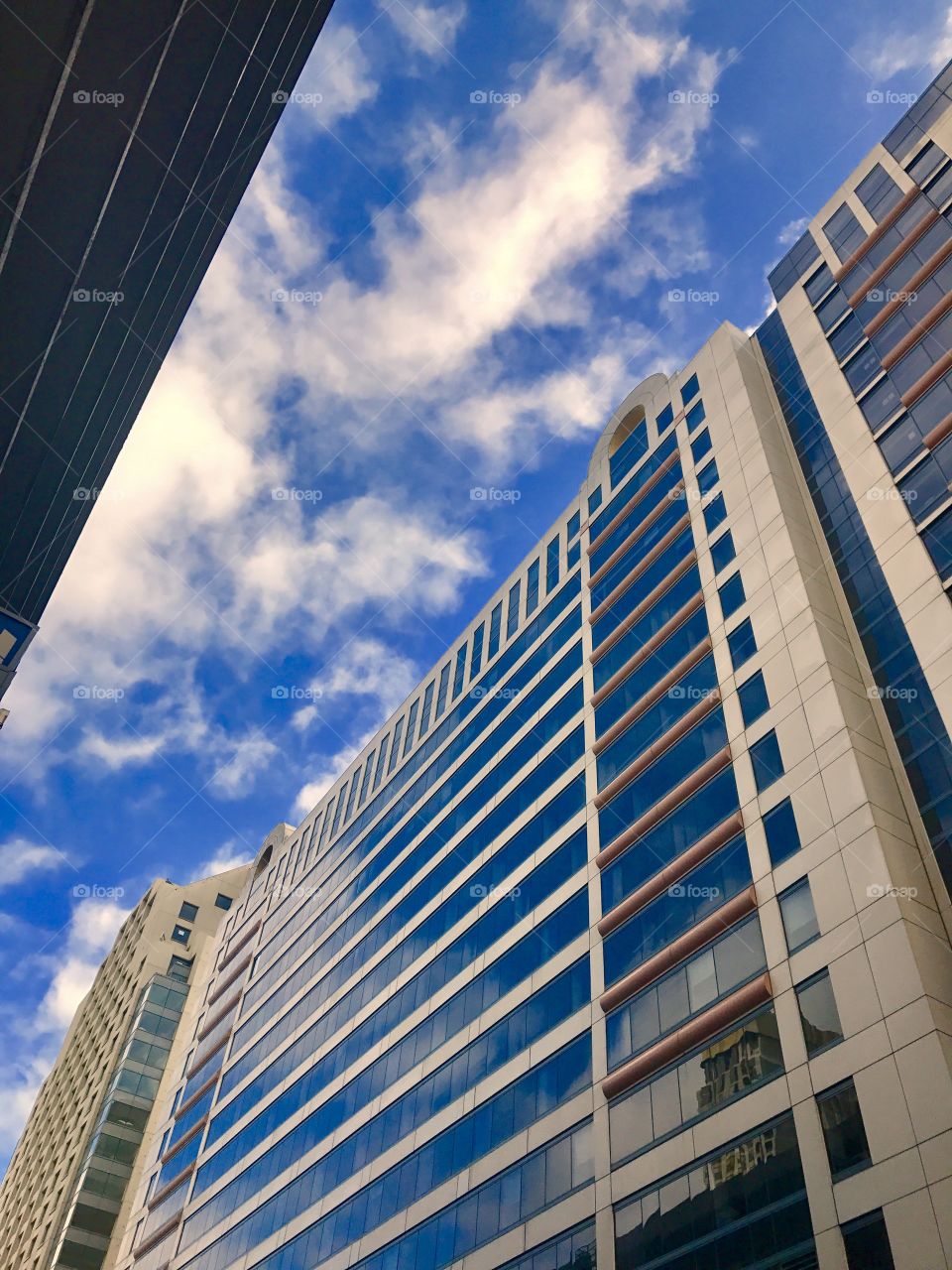 San Francisco Architecture 