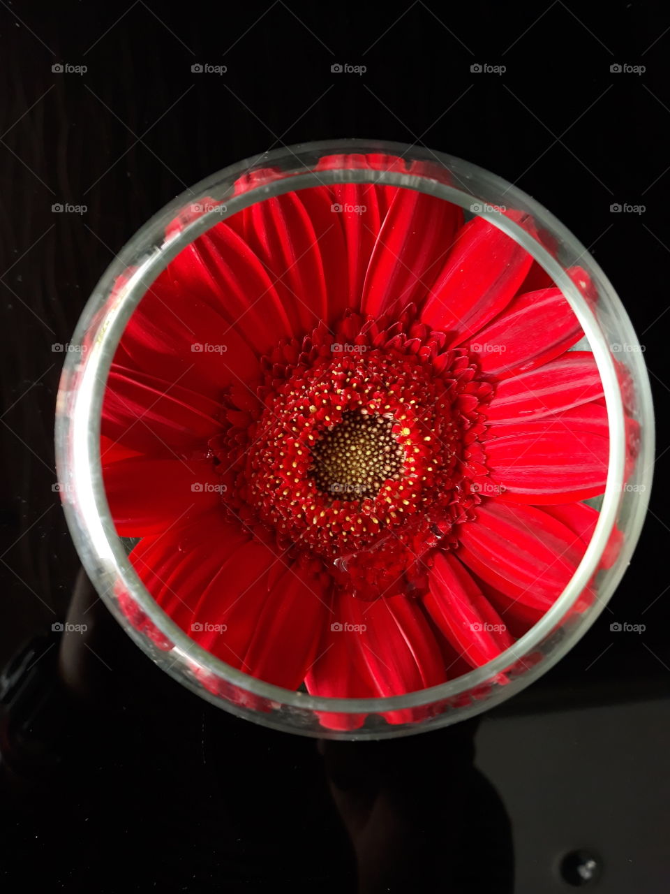 red inside from flower