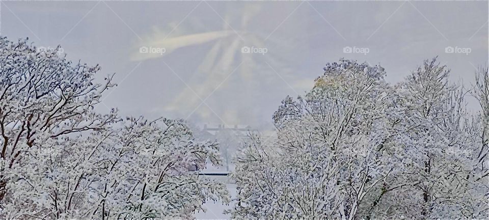 A catastrophic snowstorm swept “Bavaria“ just recently in early December 2023. The star shaped reflection in the window while the snow comes down incessantly in thick plump white flakes outside could make you believe in angels. Hypnotic Produc