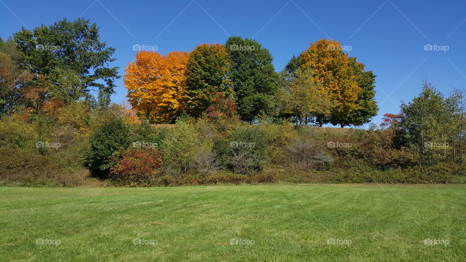 Astonishing autumn in Pennsylv
