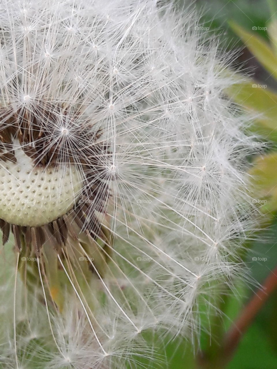 perfect imperfections