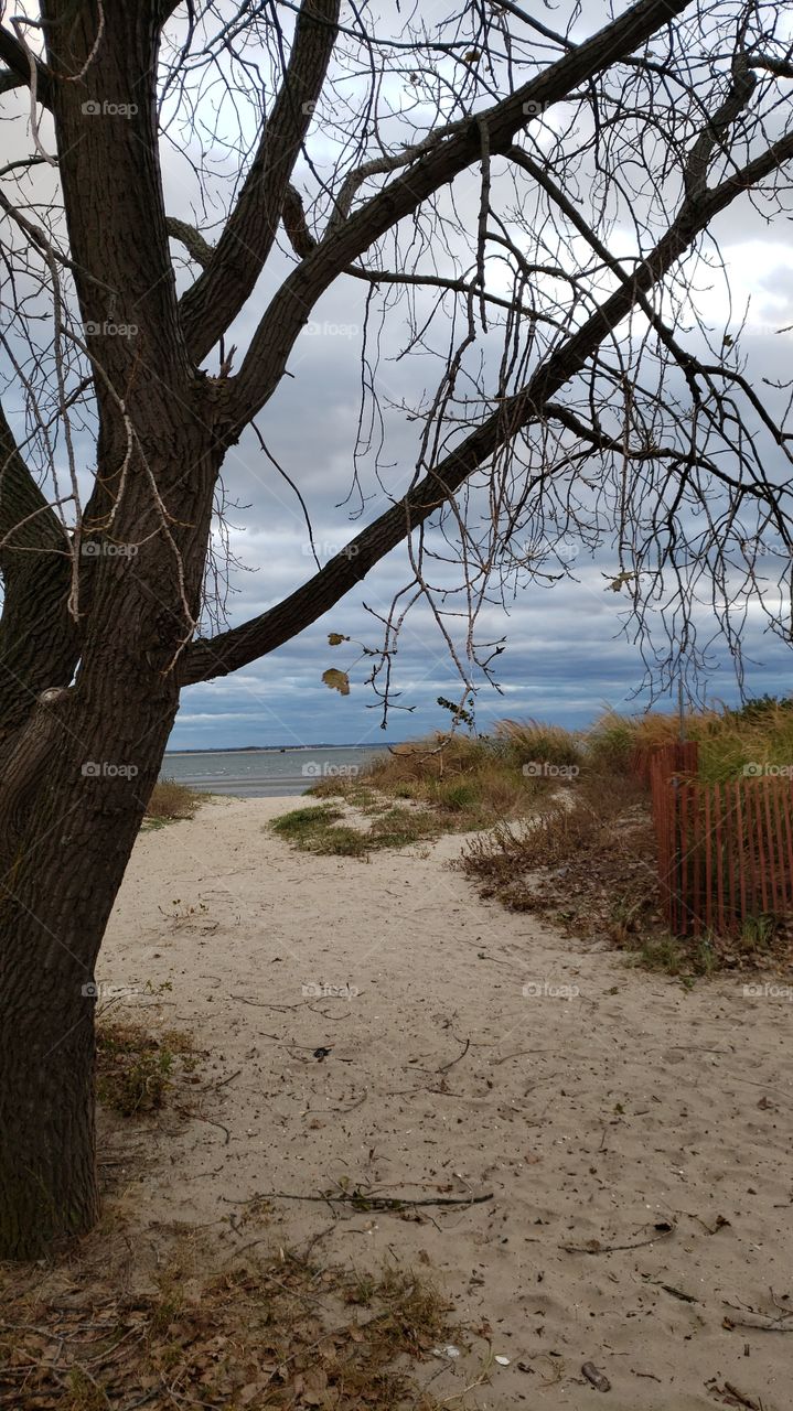 Fall beach view