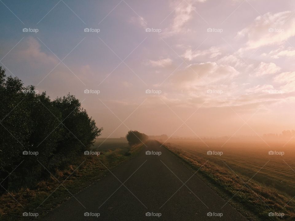 Empty road during foggy morning