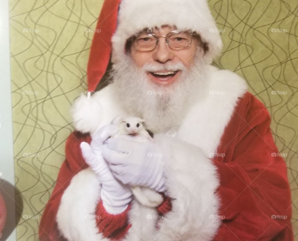 Santa with a white sugar glider