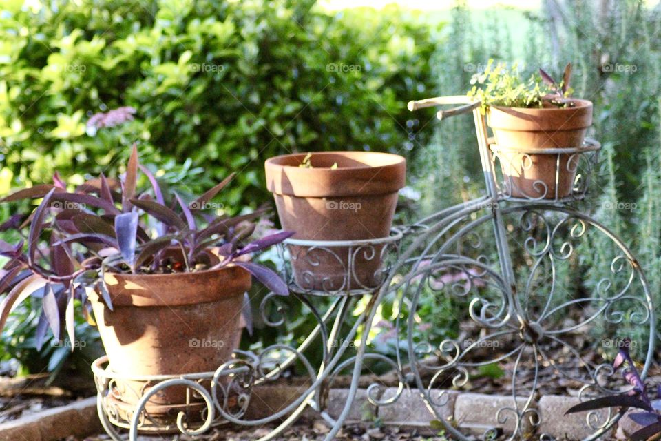 Bicycle with assortment of plants 🌱