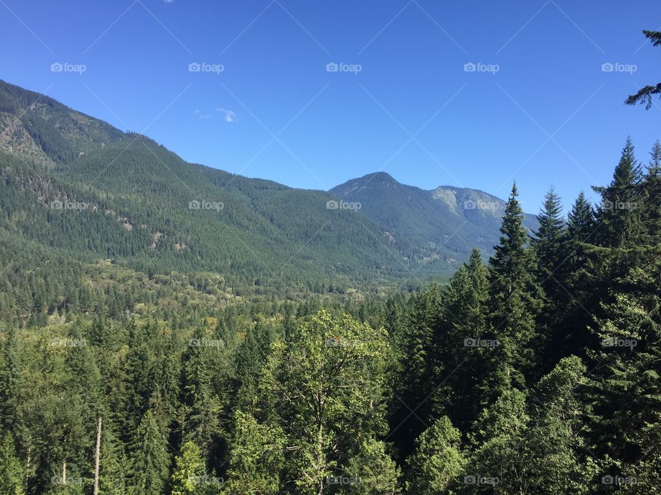 No Person, Wood, Mountain, Nature, Outdoors