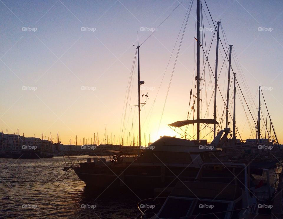 marina at sunset. marina's boats at sunset 