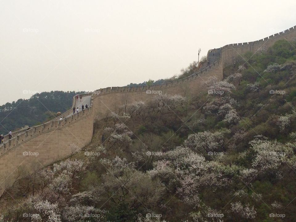 Badaling Great Wall 