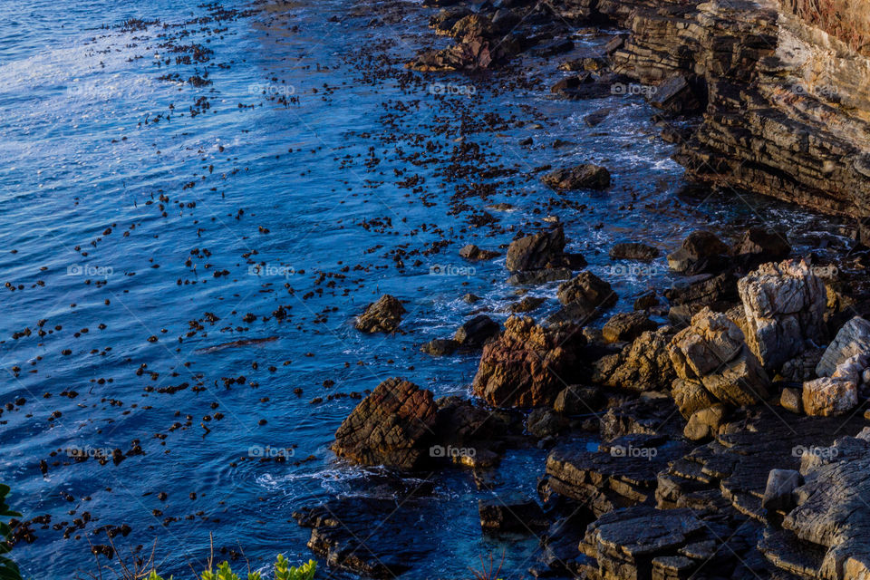 NATURE,THE BEST GIFT