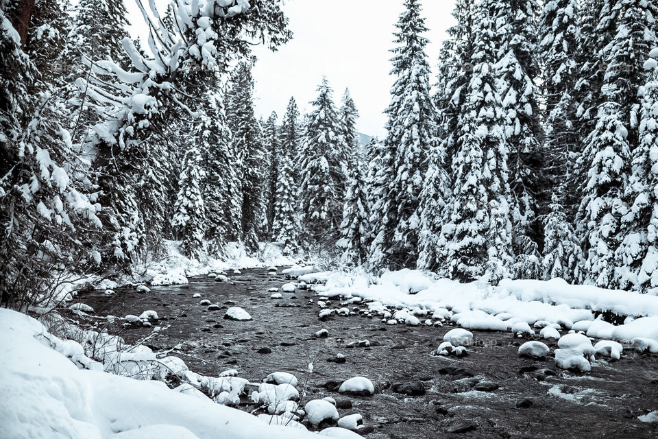 Snowy winter days in the mountains. Going on a nice morning hike up to a gorgeous mountain hot spring for a nice soak. 