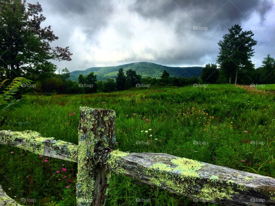 Field at Panthertown valley trails, NC