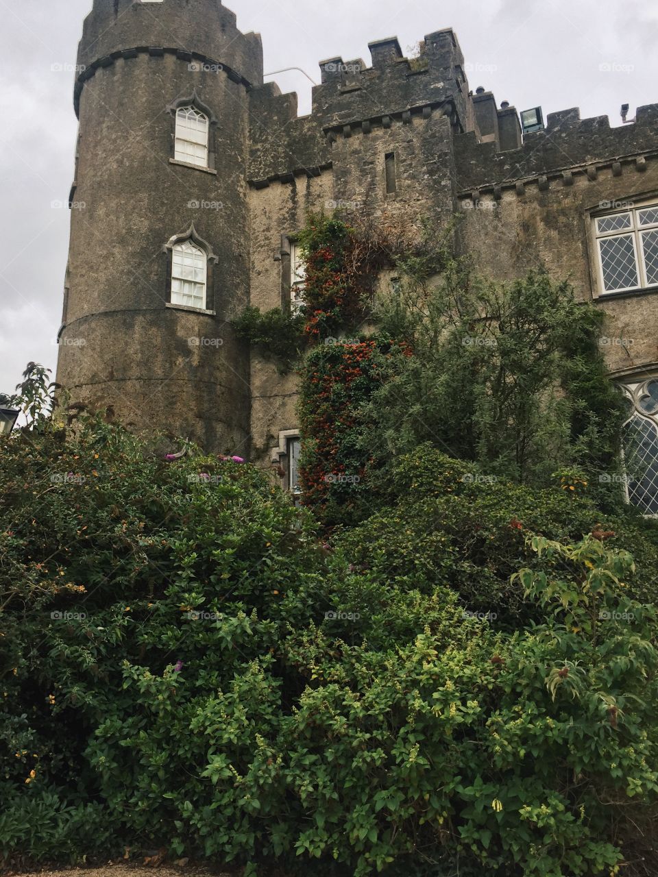 Castle, Architecture, No Person, Gothic, Building