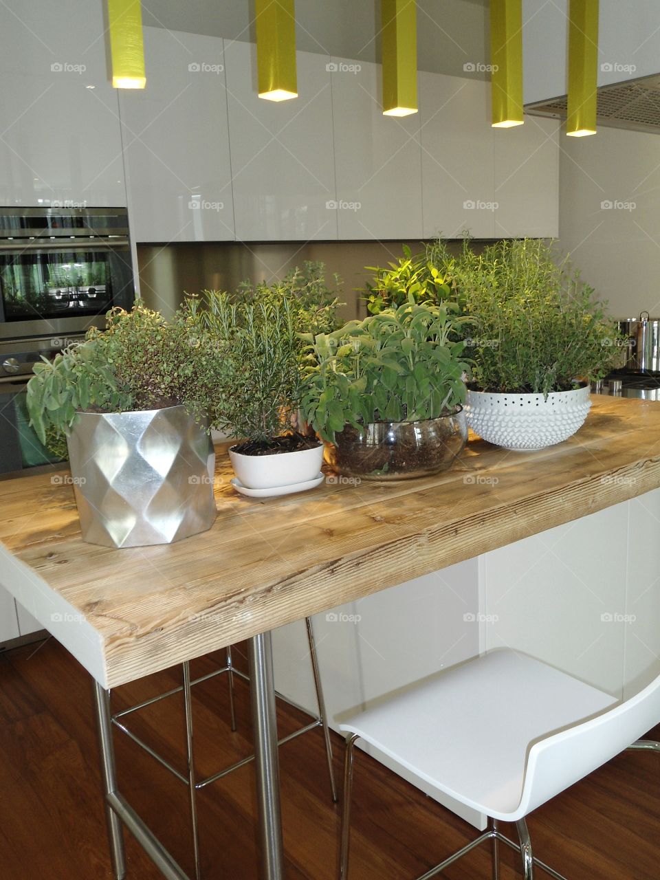 House plant collection