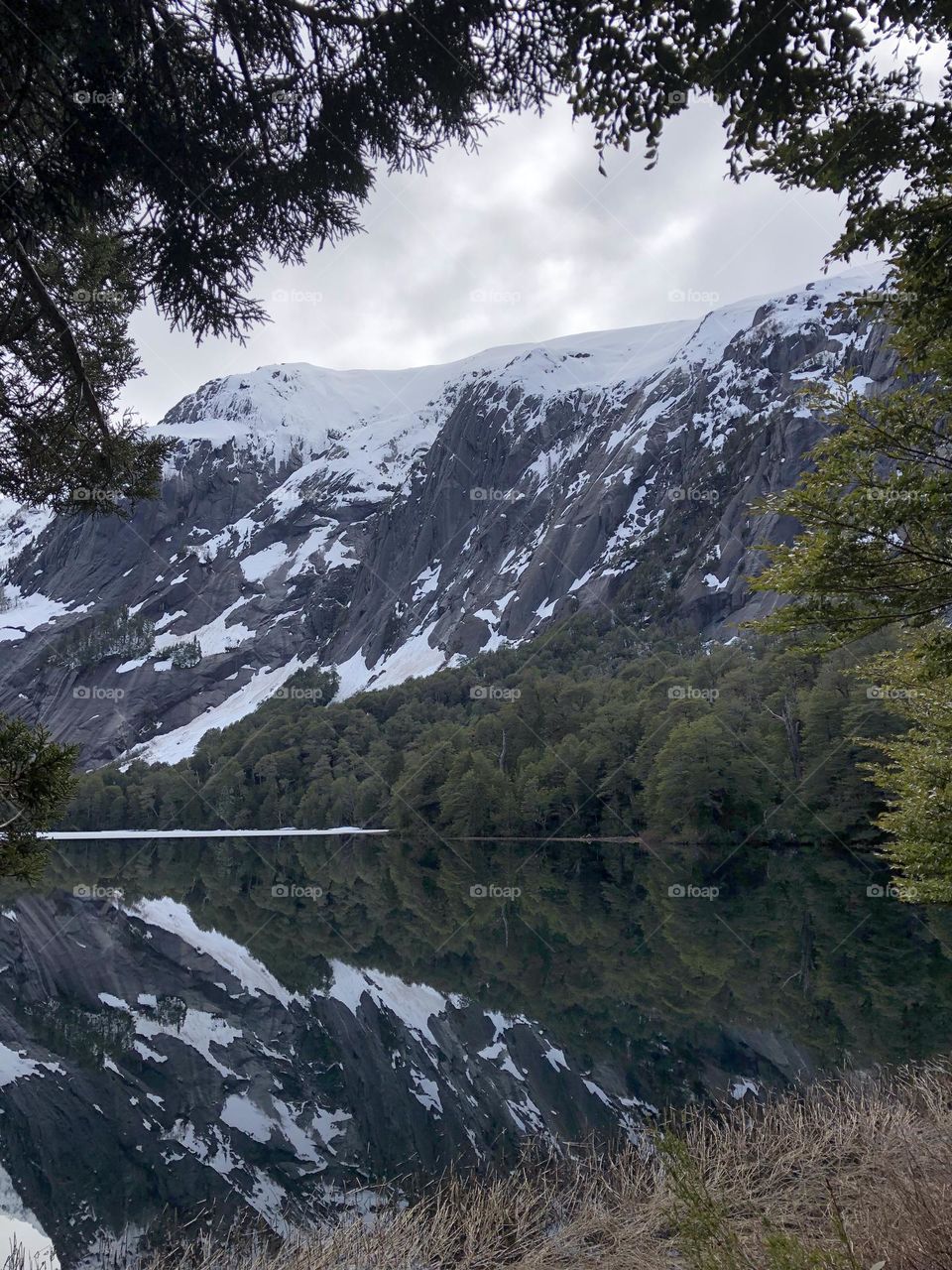 invierno Frío Sur montañas Lagos Nieve Plantas