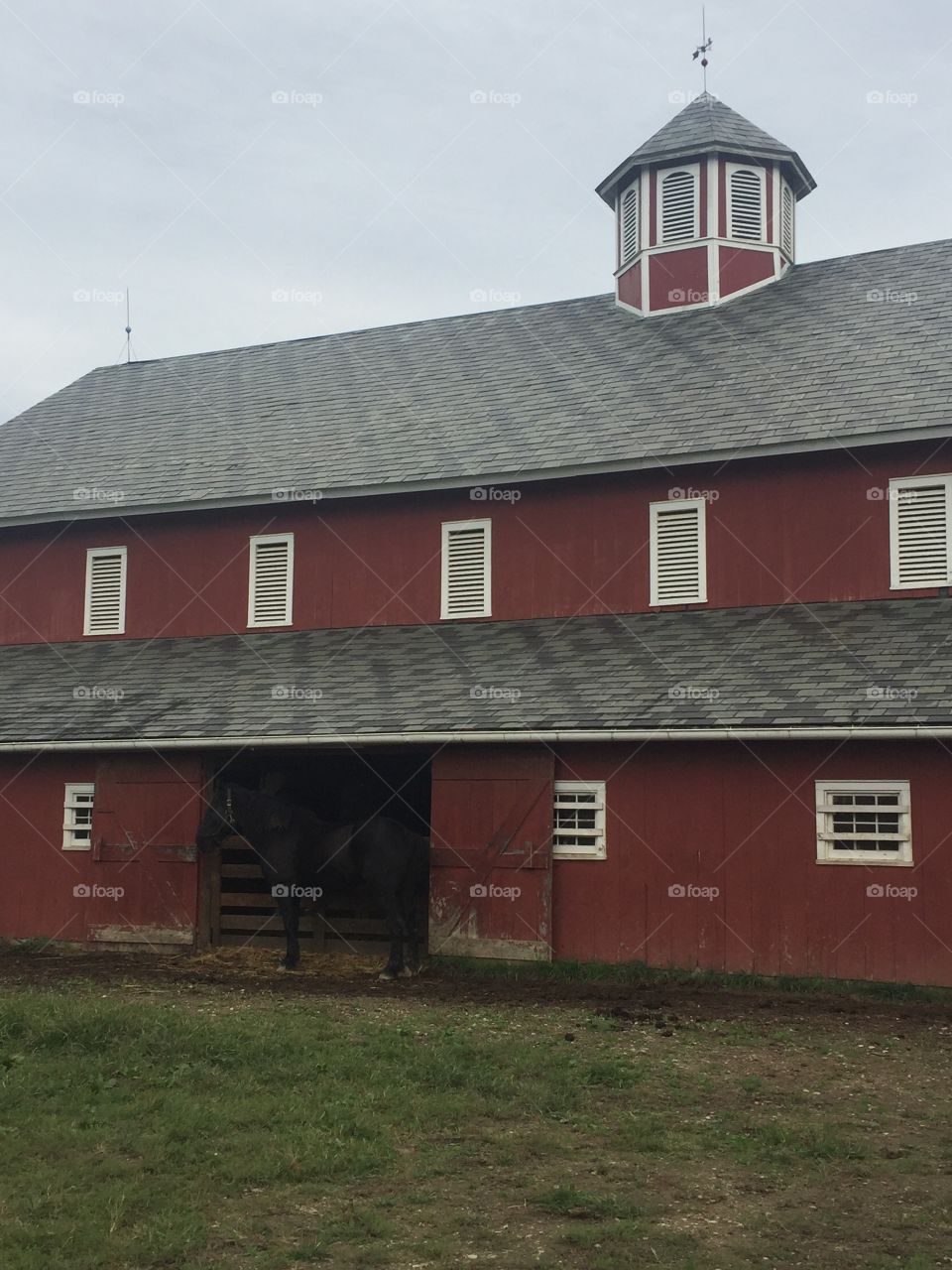 Horse & Barn